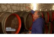 TOKAJSKE PIVNICE (8)