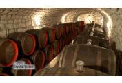 TOKAJSKE PIVNICE (9)